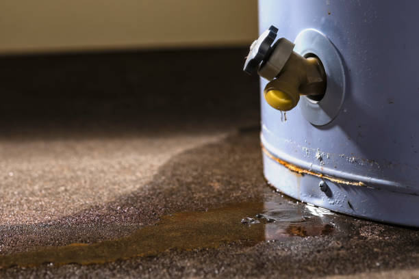 Best Flood damage cleanup  in Sissonville, WV