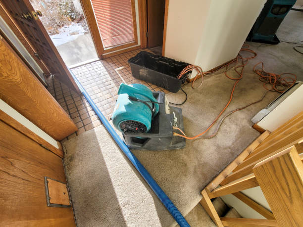 Best Ceiling water damage repair  in Sissonville, WV