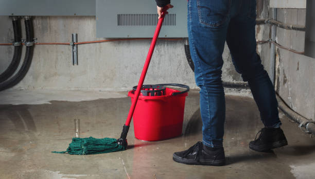 Best Basement water damage restoration  in Sissonville, WV